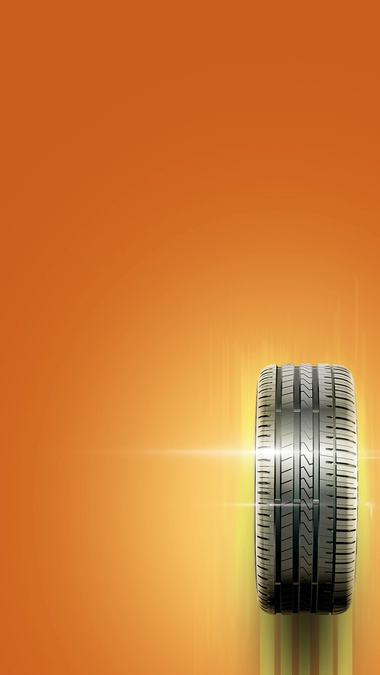 Сезонный шиномонтаж <br>от 80,64 BYN!